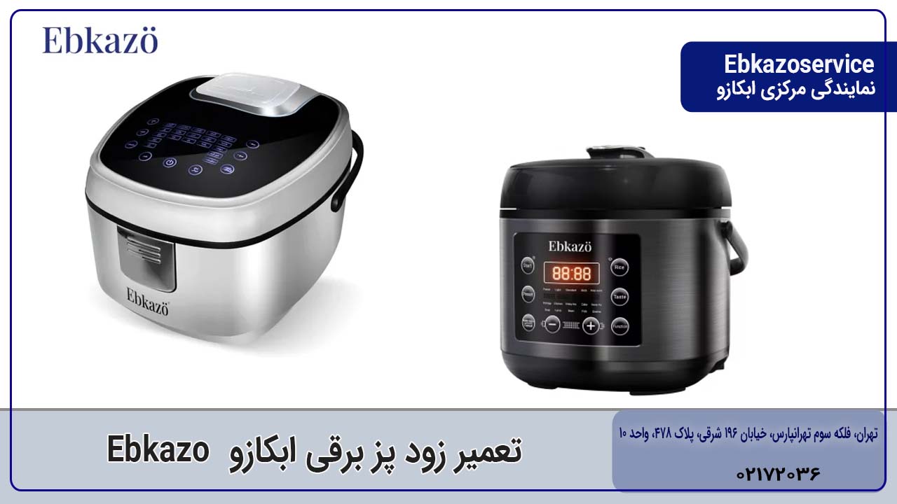 تعمیر زودپز برقی ابکازو